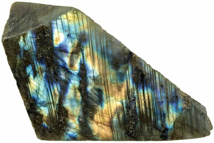 Single Side Polished Labradorite Section - Madagascar #238251